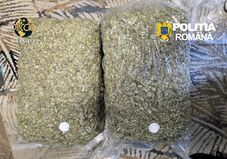 Több mint 13 kiló kannabisszal kaptak el két férfit Maros megyében