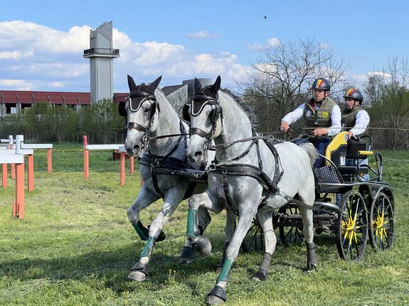 Megkezdődött az országos kettesfogathajtó bajnokság (VIDEÓ)