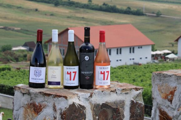 Erdély és Partium borainak ünnepét tartják meg Kémeren