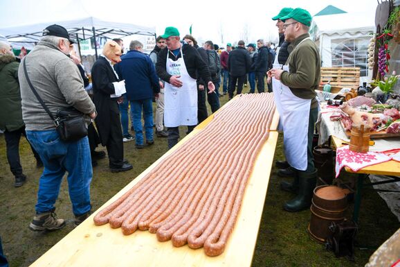 Közel 75 méteres kolbász készült a szatmári Böllérversenyen (VIDEÓ)