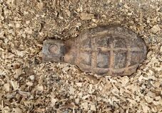 Riadó Nagyenyeden: Két kézigránátot találtak az út mentén