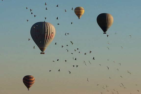 Ismét léggömbök sértették meg a lengyel légteret