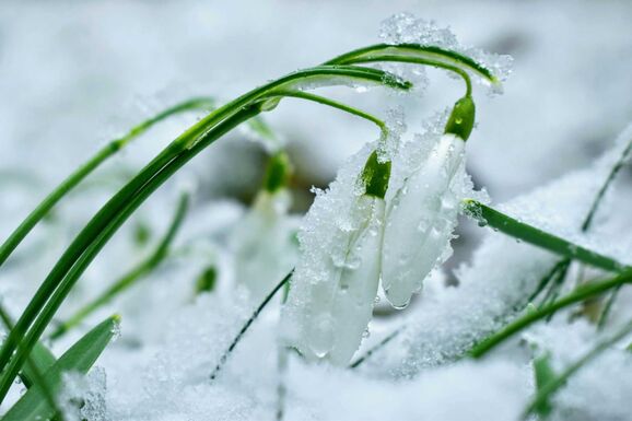 Kéthetes előrejelzés: fagyos napok és hirtelen felmelegedések várnak ránk