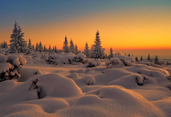 Nem mindig a fenyő uralta a tájat – Így alakították át a Csíki-medence erdeit az elmúlt évszázadok