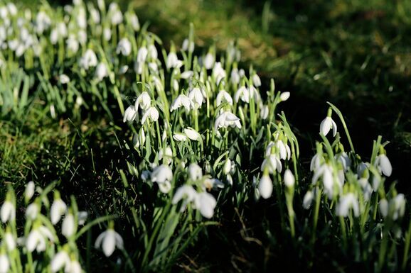 Kevés csapadékkal és sok napsütéssel kezdődik az első tavaszi hónap
