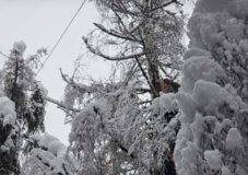 Több ezer fogyasztó maradt áramellátás nélkül a hóvihar miatt
