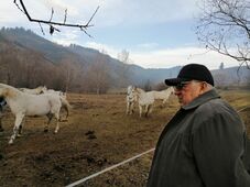 „A világot szebbnek lehet látni a ló két füle között” – Beszélgetés Romfeld János tenyésztővel