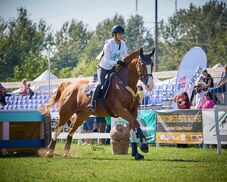 Mindig lovak veszik körül – Nemzetközi eredményekre vágyik a csíkszeredai Gábos Eszter