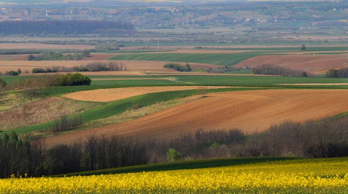 Drágul a termőföld Romániában, de még mindig az olcsóbb országok között van