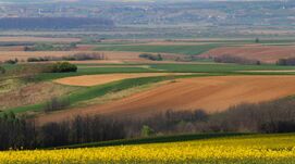Drágul a termőföld Romániában, de még mindig az olcsóbb országok között van