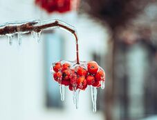 Székelyföldre is visszatér a fagyos idő