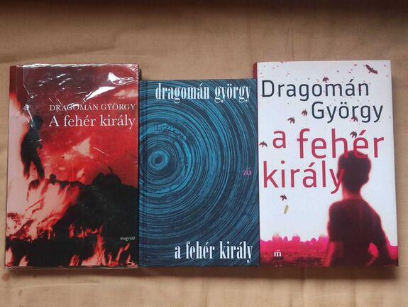 Erdélyben, a kommunizmus idején játszódó regényt adtak ki perzsa nyelven