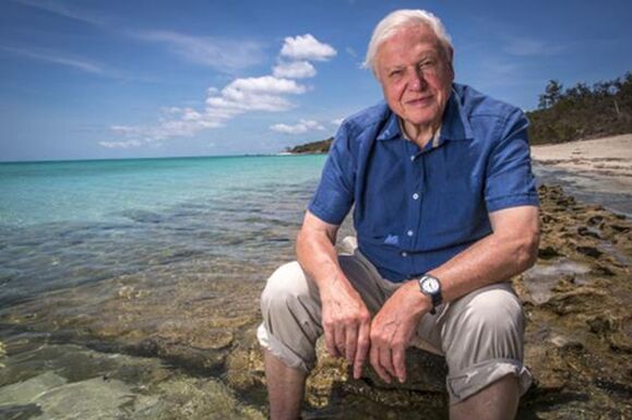 Százéves David Attenborough ikonikus természettudós, világhírű ismeretterjesztő (VIDEÓ) 