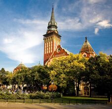 A vajdasági magyar szervezetek elítélik a szabadkai zászlóégetést 