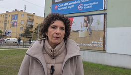 Leszavazták a javaslatát, mégis folytatja a határon túliakkal heccelő kampányát a DK