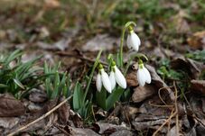 Itt van egyhetes előrejelzés – Kiderül, milyen idő lesz március 15-én