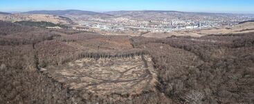 Nyílt levélben követelik a Hója-erdő azonnali védetté nyilvánítását