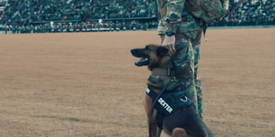 Hősiesség és tragédia: életét adta egy kutyáért a fiatal vadászpilóta