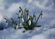 Sarki légtömeg éri el Romániát márciusban: gyökeresen megváltozik az időjárás