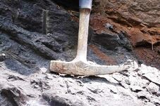 Új dinoszauruszfajt fedeztek fel magyar kutatók Erdélyben