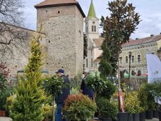 Kertészeti kiállítás és vásár Nagyenyeden