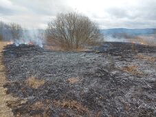 Figyelmeztetik a csíkszeredaiakat: a tarlóégetés többet árt, mint használ 