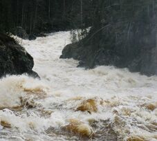 Árvízriadót rendeltek el a hidrológusok négy megyében