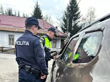 Illegális faanyagot koboztak el a Hargita megyei rendőrök