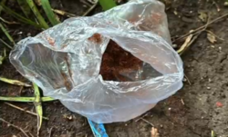 Hiába dobták ki az ablakon a kábítószert, a rendőrök mindent láttak