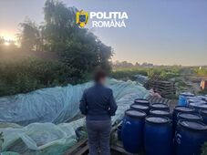 Gödrökben tárolt, több tonnányi káposztát foglaltak le és semmisítettek meg a hatóságok