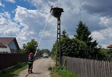 Tűz ütött ki egy gólyafészekben – A madarak utolsó percig a helyszínen maradtak