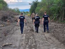 Medvecsapdát helyeznek ki az erdélyi  faluban 