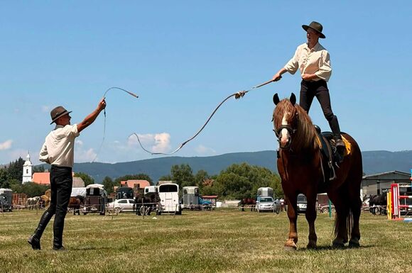 Lovak, hagyományok és látványos versenyek Nyujtódon – Idén is megrendezték a Háromszéki Lovasnapokat