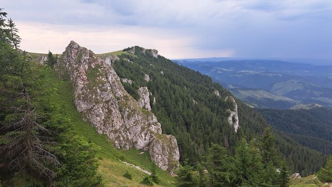 Csak a Békás-szoros térségében él a világ egyik legritkább növénye