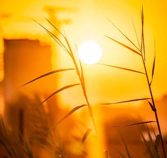 Kánikula: 39 Celsius-fokos hőség is lehet kedden