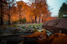 November elejéig kitart az időszakhoz képest hűvösebb idő 