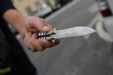 Valószínűleg rasszista indítékkal támadott és nem mutat megbánást a késelő diák
