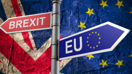 Az EU-val való szorosabb együttműködésről tárgyalt a brit és a lengyel kormányfő