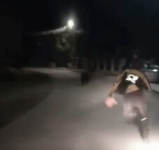 Egyesek a medve elől futnak, Ratosnyán egy férfi utána szaladt (VIDEÓ)