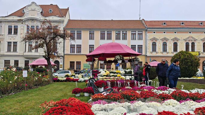 Öt lejtől több, mint száz lejig: bőséges a kínálat a kézdivásárhelyi őszi virágvásáron (VIDEÓ)