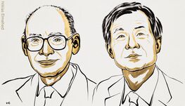 Gazdára talált a kémiai Nobel-díj