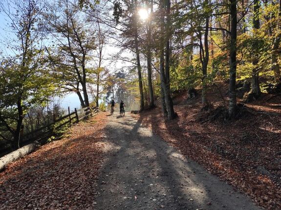 Egészségtudatosító programsorozat indul Hargita megyében