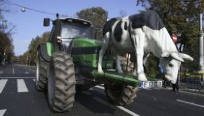 Teheneiket is harcba küldték a tüntető gazdák