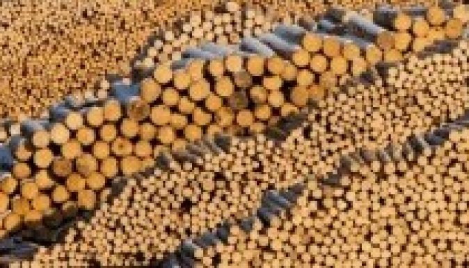 A Schweighofer megkapta az urbanisztikai bizonylatot Rétytől