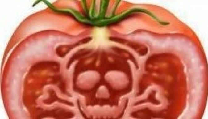 Nem lesz amerikai génmódosított vetőmag Európában