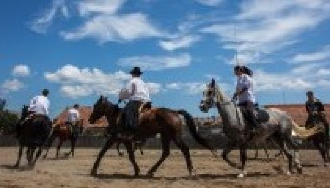 Harminc jelentkező a harmadik Székely Vágtán