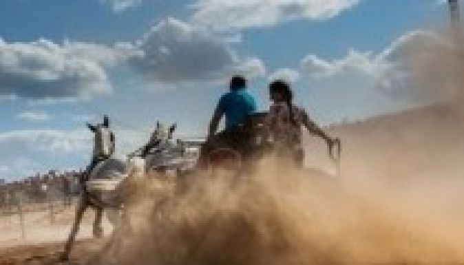 Dancs Annamari győzött a „celebek” fogathajtó versenyén (GALÉRIA)