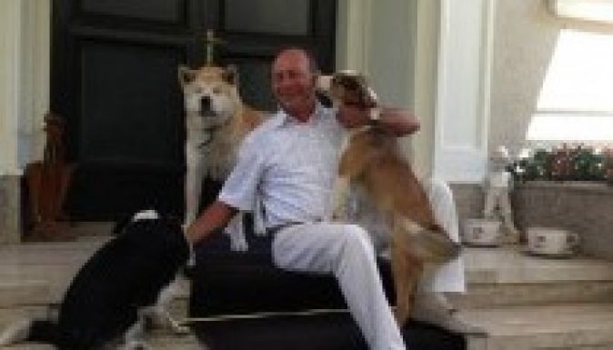 Ismét a parlamentre bízzák a kóbor kutyák ügyét