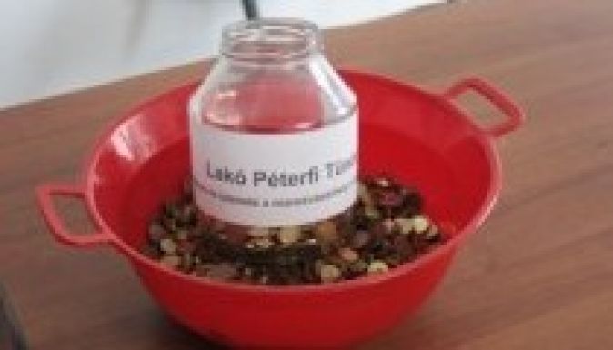 Csíkban is gyűlnek az egybanisok Lakó Péterfi Tündének