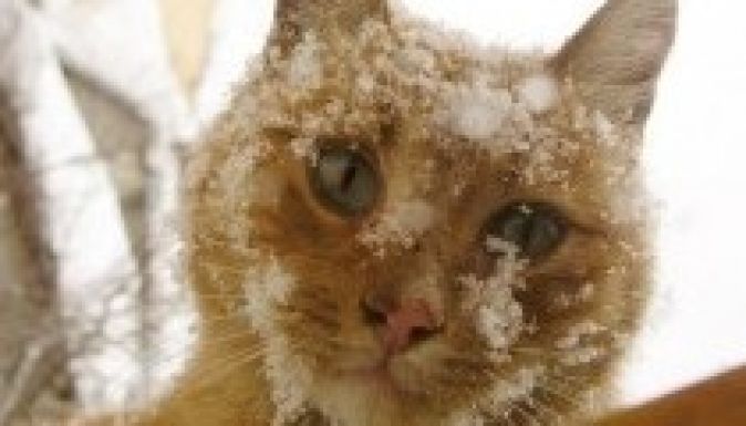 November végén érkezik a tél Romániába